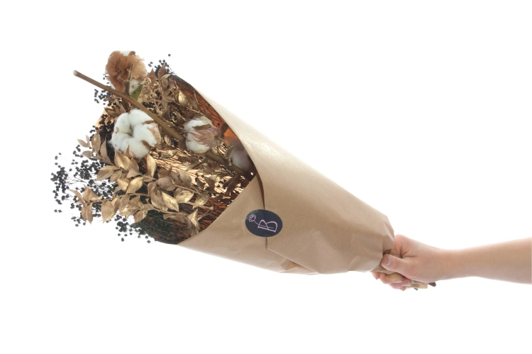 Set von Trockenblumen für Vase - Baumwolle, Ruscus, Broom Bloom