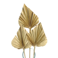 Dried golden palm leaf - Palm Spear