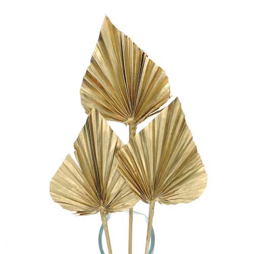 Dried golden palm leaf - Palm Spear