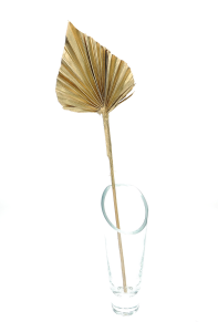 Dried golden palm leaf - Palm Spear