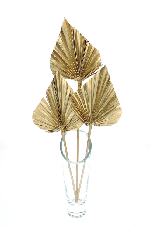 Dried golden palm leaf - Palm Spear