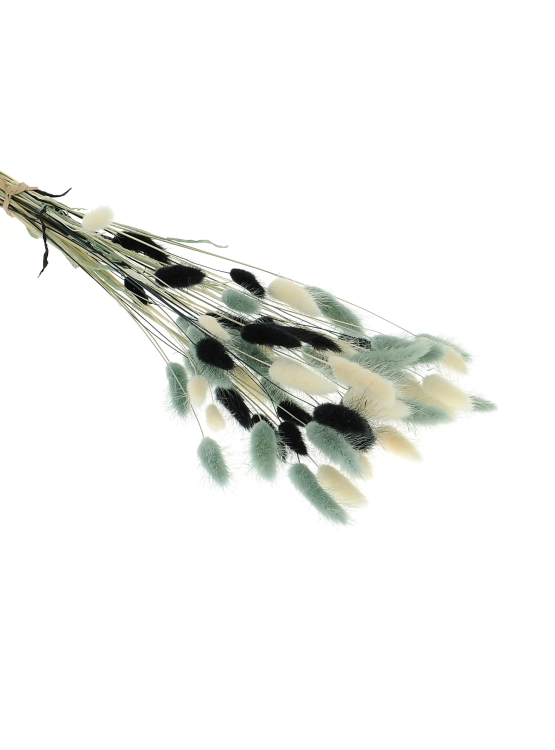 Dried lagurus mix - black, grey, white
