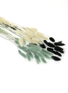 Dried lagurus mix - black, grey, white