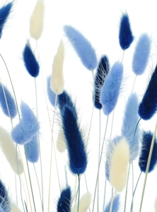 Dried lagurus mix - navy, light blue, white