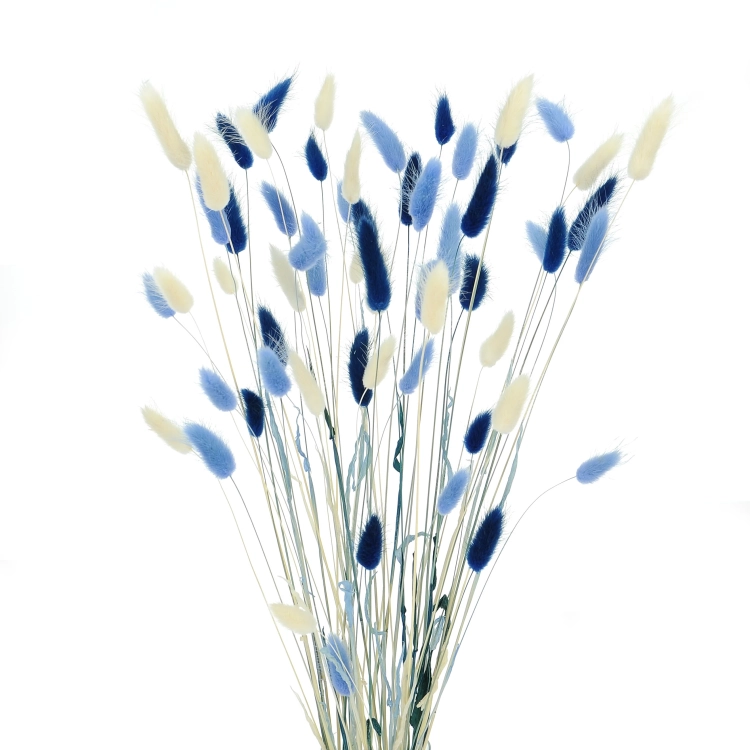 Dried lagurus mix - navy, light blue, white