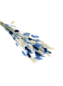 Dried lagurus mix - navy, light blue, white