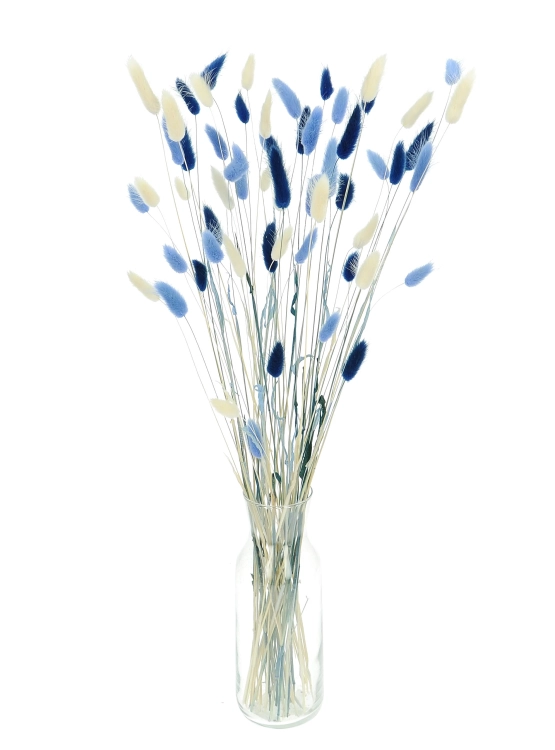 Dried lagurus mix - navy, light blue, white