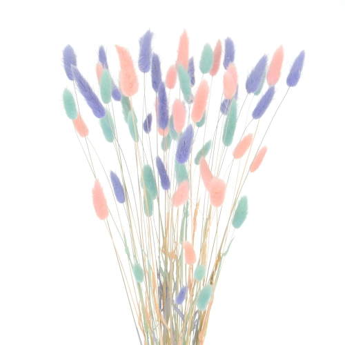 Dried lagurus mix - baby blue, pink , lavender