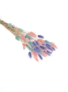 Dried lagurus mix - baby blue, pink , lavender