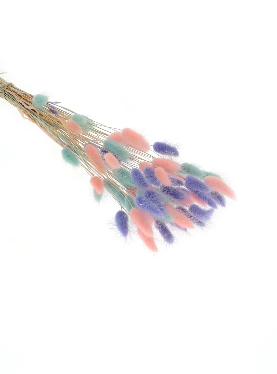 Dried lagurus mix - baby blue, pink , lavender