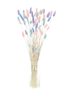 Dried lagurus mix - baby blue, pink , lavender