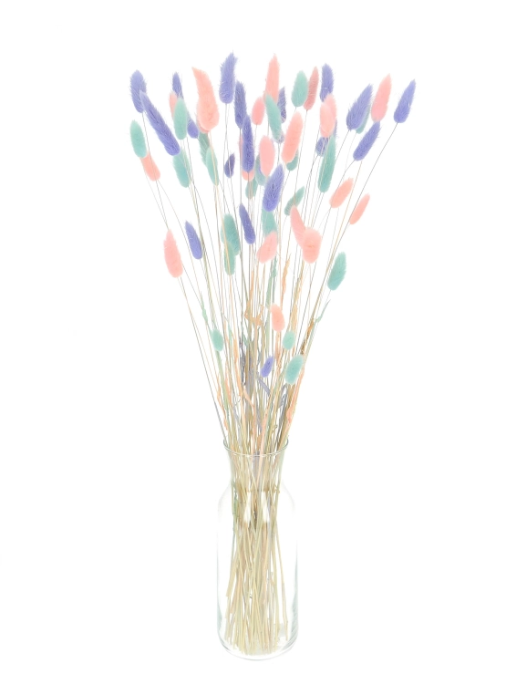 Dried lagurus mix - baby blue, pink , lavender
