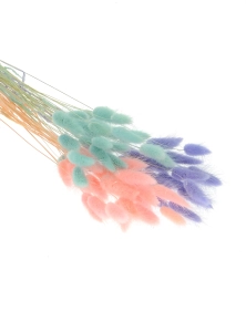Dried lagurus mix - baby blue, pink , lavender