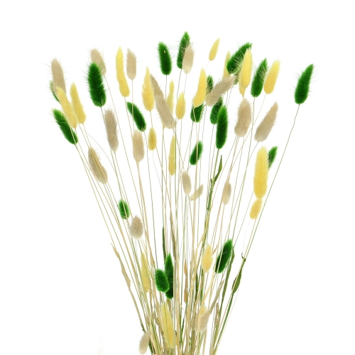 Dried lagurus mix - yellow, green, natural