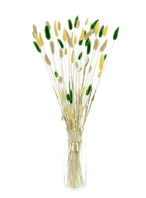 Dried lagurus mix - yellow, green, natural