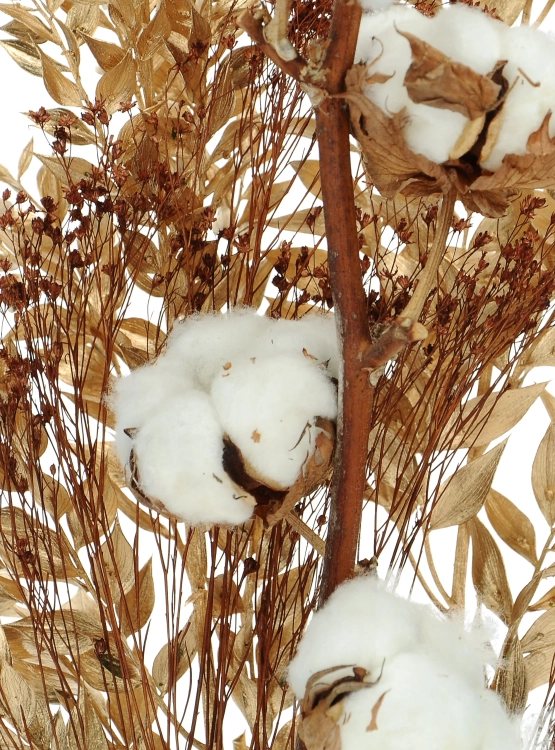 Set von Trockenblumen für Vase - Baumwolle, Ruscus, Broom Bloom