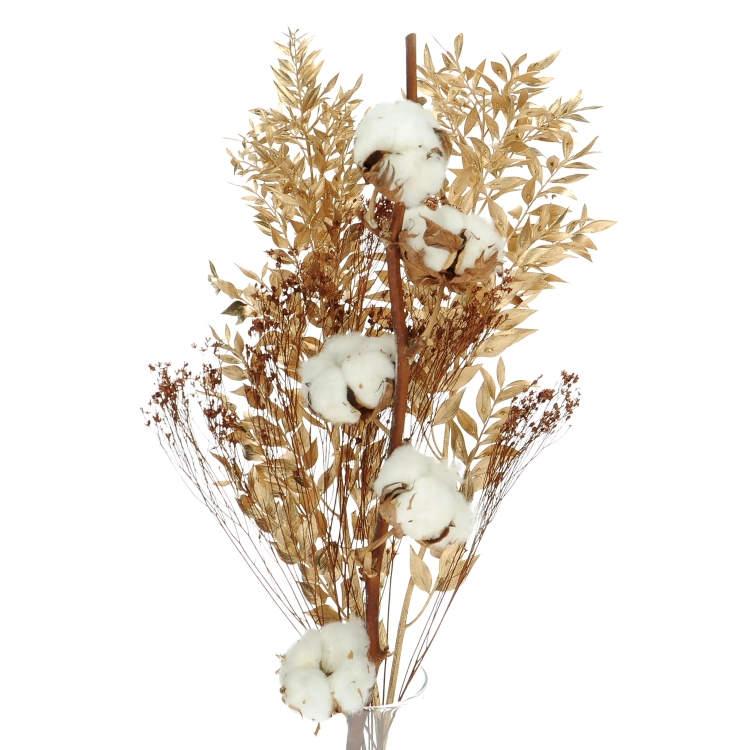 Set von Trockenblumen für Vase - Baumwolle, Ruscus, Broom Bloom