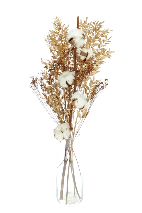 Set von Trockenblumen für Vase - Baumwolle, Ruscus, Broom Bloom