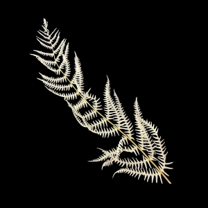 Dried bleached fern, 5 pcs.
