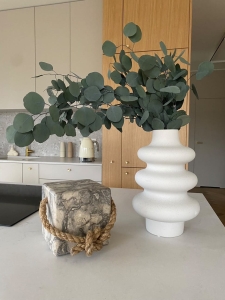 Eukalyptus Populus, stabilisiert, grün - Strauß