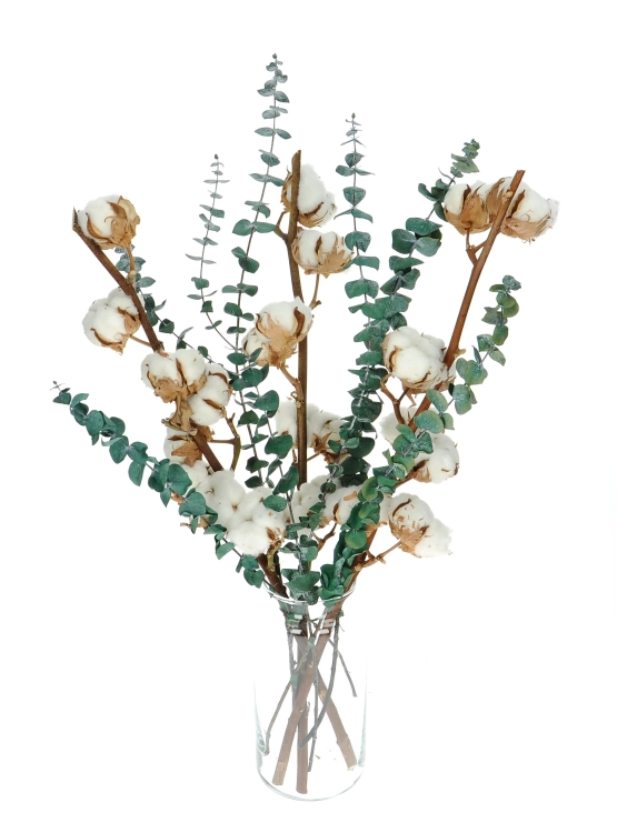 Set von Trockenblumen für Vase - Baumwolle und Eukalyptus