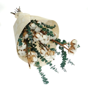 Set von Trockenblumen für Vase - Baumwolle und Eukalyptus