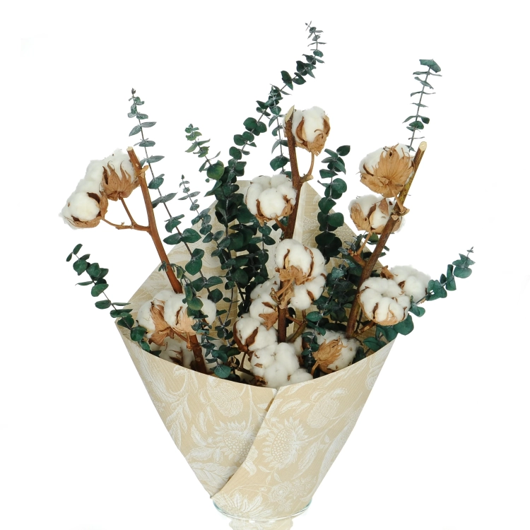 Dried flowers bouquet - cotton &amp; eucalyptus