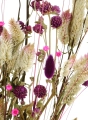 Set von Trockenblumen für Vase - Celosia, Gomphrena, Lagurus, Glixia