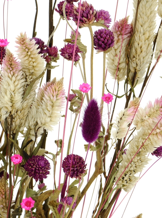 Set von Trockenblumen für Vase - Celosia, Gomphrena, Lagurus, Glixia