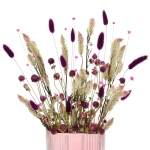 Set von Trockenblumen für Vase - Celosia, Gomphrena, Lagurus, Glixia