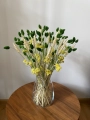 Set von Trockenblumen für Vase - Phalaris, Strohblumen, Weizen
