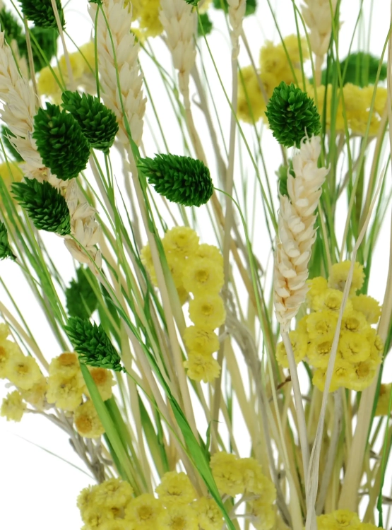 Set von Trockenblumen für Vase - Phalaris, Strohblumen, Weizen