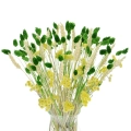 Set von Trockenblumen für Vase - Phalaris, Strohblumen, Weizen