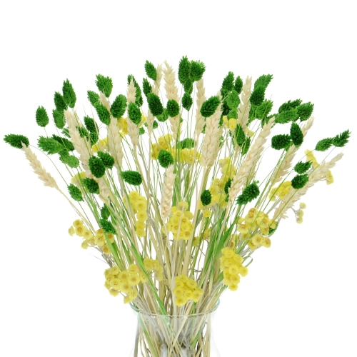 Set von Trockenblumen für Vase - Phalaris, Strohblumen, Weizen