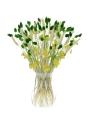 Set von Trockenblumen für Vase - Phalaris, Strohblumen, Weizen