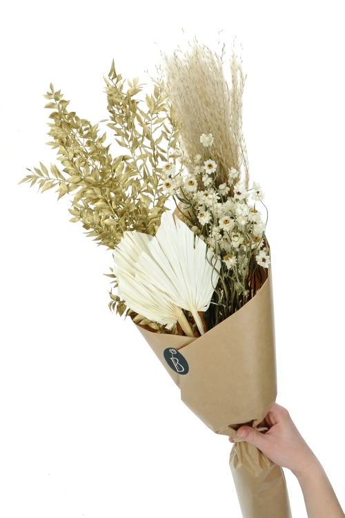 Set von Trockenblumen für Vase - Ruscus, Palmblatt, Stipa, Papierknöpfchen