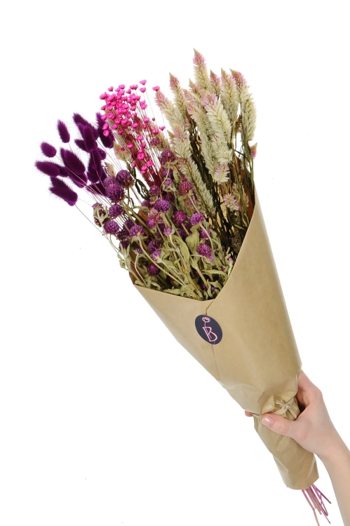 Set von Trockenblumen für Vase - Celosia, Gomphrena, Lagurus, Glixia