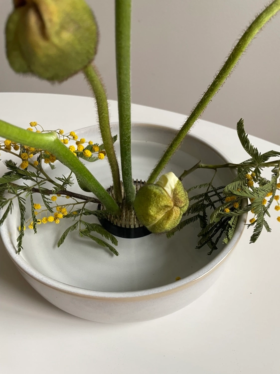 Kenzan rund Messing 60 mm - Ikebana