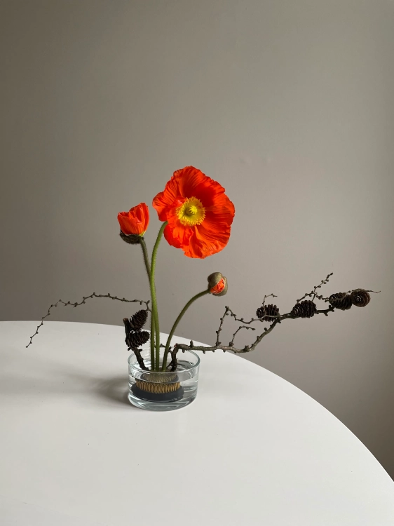 Round brass kenzan 60 mm - Ikebana