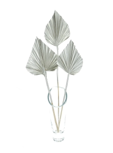 Dried silver palm leaf - Palm Spear