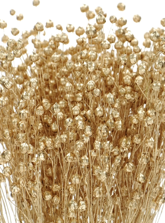 Flachs gold - Strauß - Trockenblumen