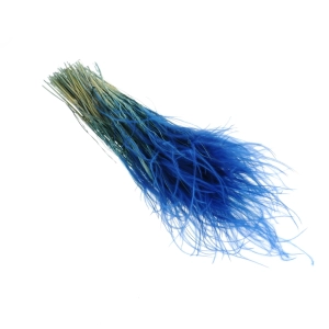 Dried navy blue Stipa feather (Stipa pennata) - bunch