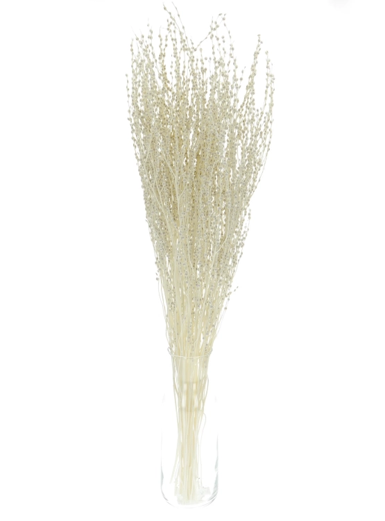 Getrocknetes gebleichtes Lepidium (Gartenkresse) - Strauß