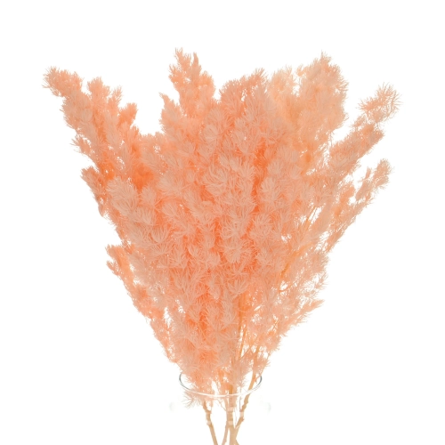 Stabilisierter lachsfarbener Spargel - Strauß