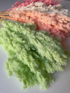 Stabilisierter grüner Spargel - Strauß