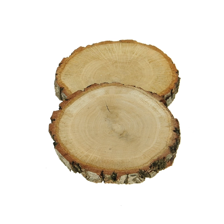 Slices of oak wood for decoration - 2 pcs