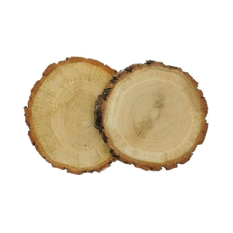 Slices of oak wood for decoration - 2 pcs