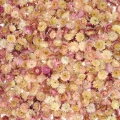 Strohblumen, rosa - Blüten, Köpfe 50 g, ~100 Stk.