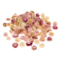 Strohblumen, rosa - Blüten, Köpfe 50 g, ~100 Stk.