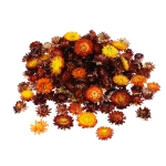 Dried burgundy Helichrysum - heads, flowers 50 g, ~70 pcs